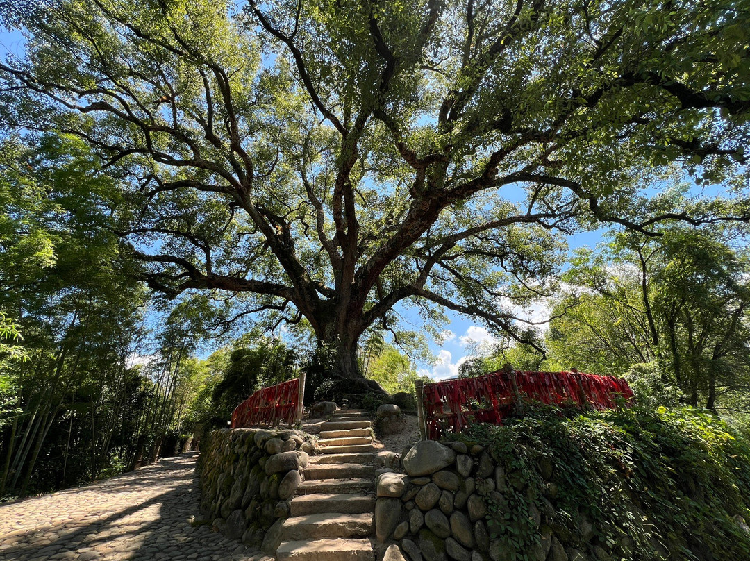 古堰画乡景区-丽水市必去景点