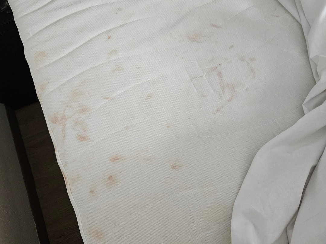 Bastion Hotel Rotterdam Brielle-Europoort主图