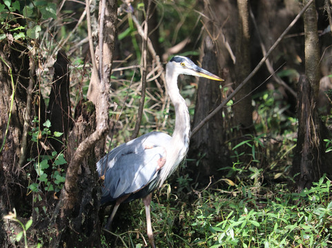 Black River Outdoors-美特尔海滩必去景点