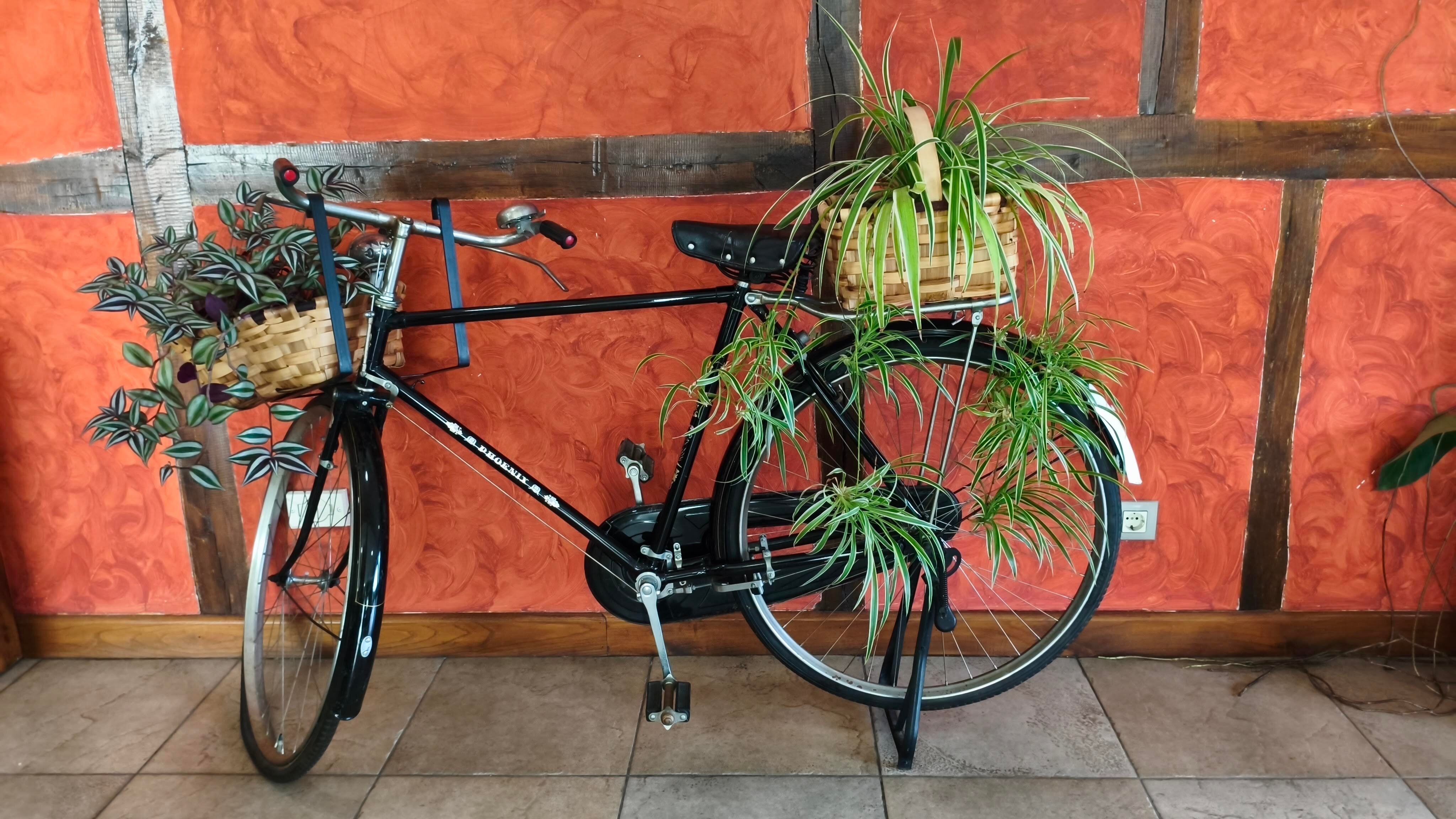 Complejo San Marcos-浴室