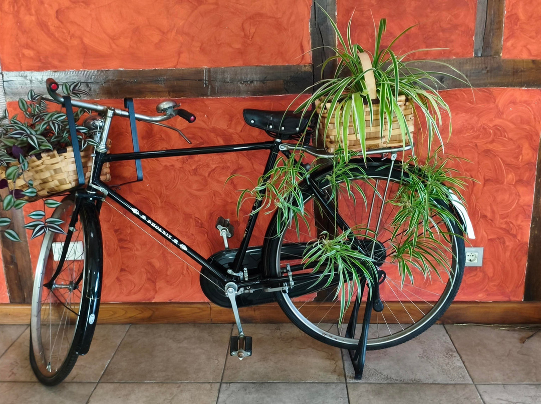 Complejo San Marcos主图