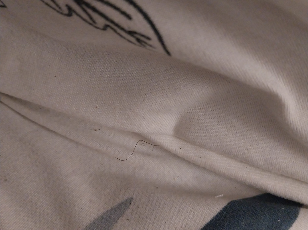 Bed And Breakfast Portuense主图