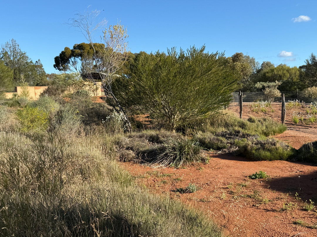 Fun Over Fifty-布里斯班必去景点