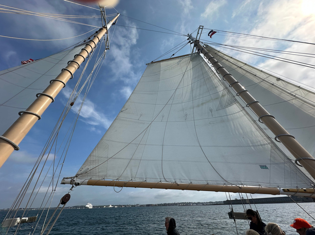 Sightsailing of Newport-纽波特必去景点