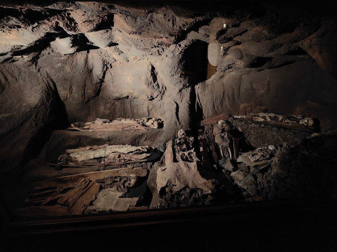 El Museo Canario-大加那利岛拉斯帕尔马斯必去景点