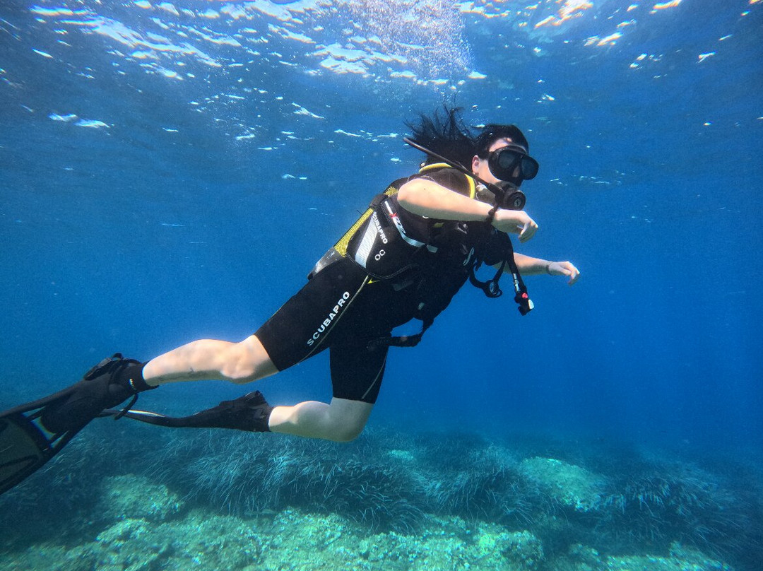 Epidaurum Diving & Water-Sports Center-察夫塔特必去景点