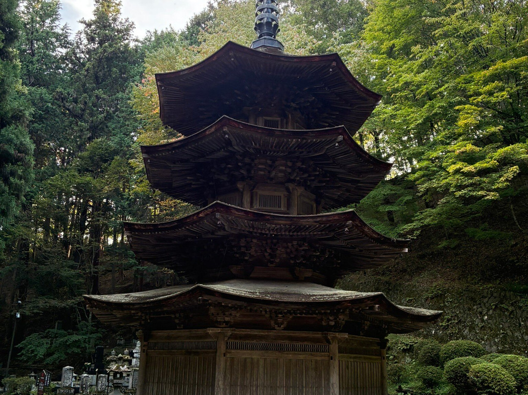 Anrakuji Temple-上田市必去景点