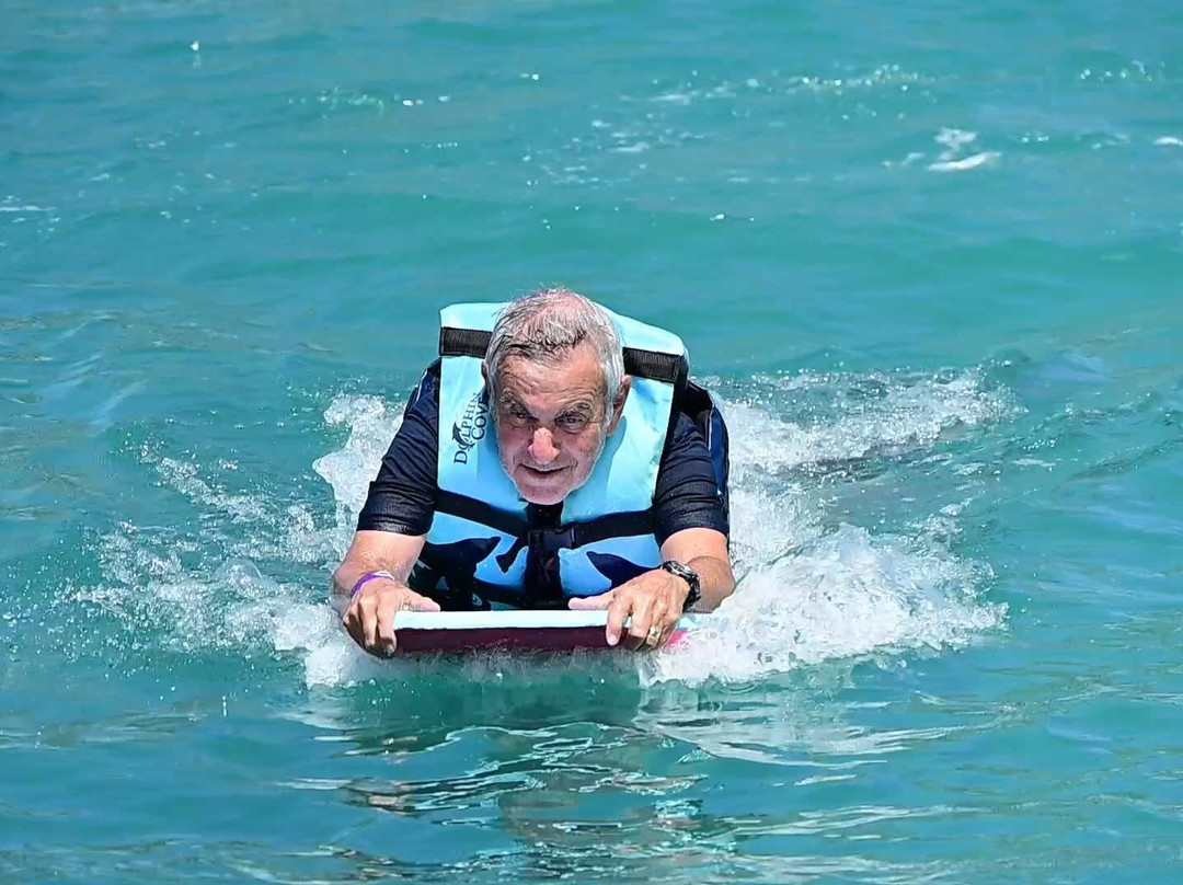 Dolphin Discovery Cozumel-考祖梅必去景点