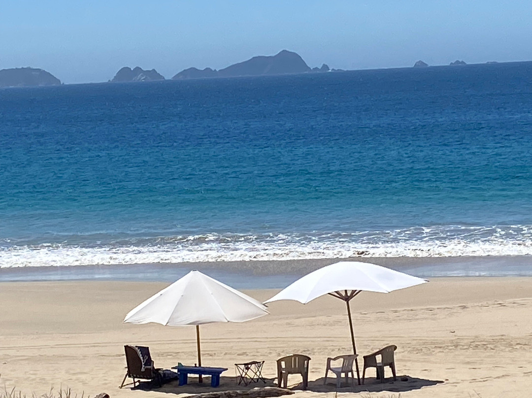 Playa Tenacatita-Tenacatita必去景点