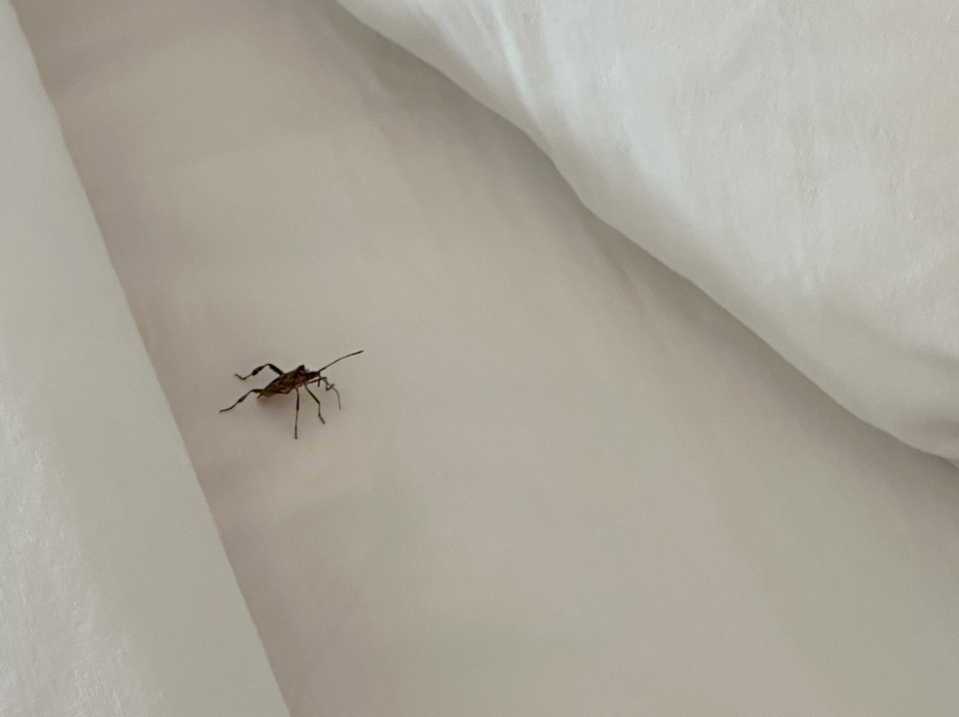 Sunnyside Inn and Suites主图