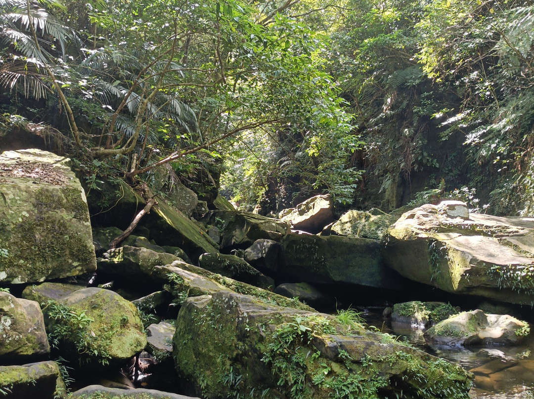 Iriomote Island Kayaks Kazaguruma-竹富町西表岛必去景点