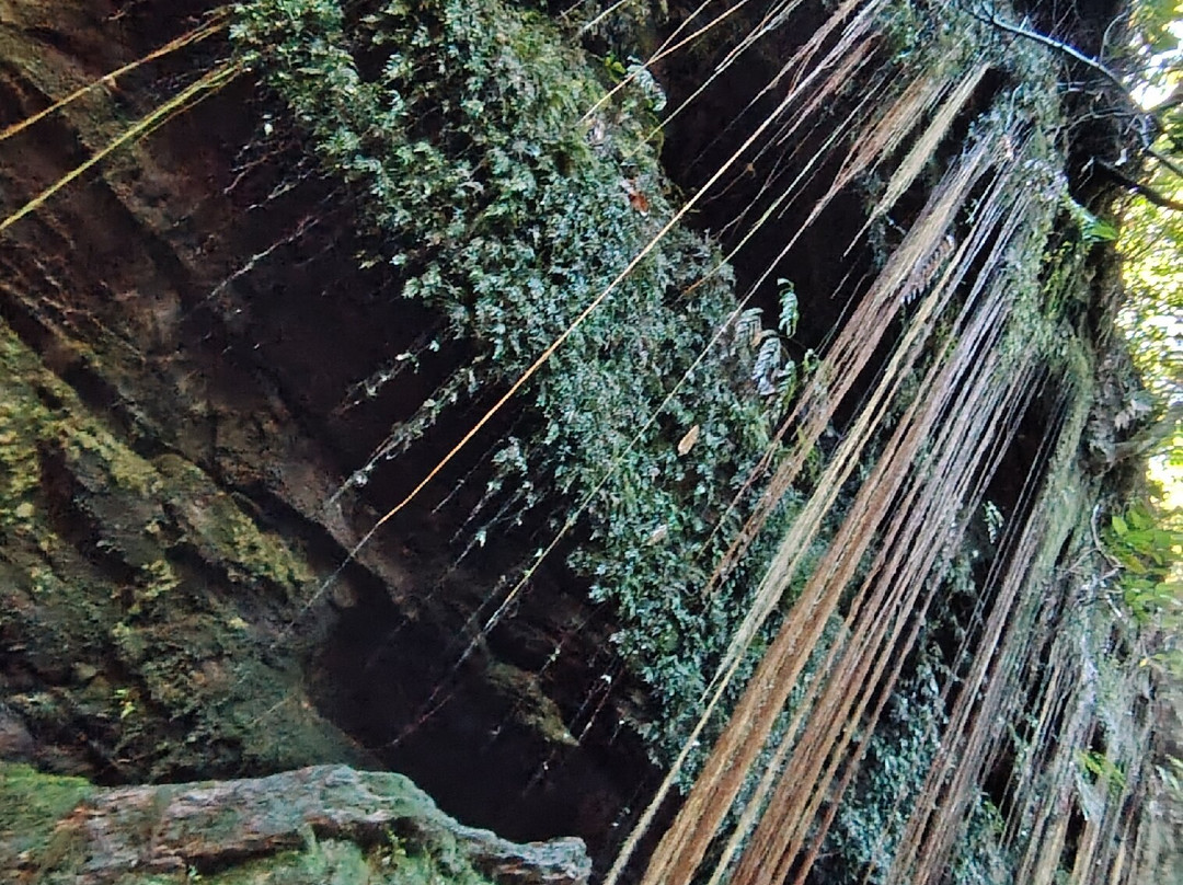 Cânion Sussuapara-Ponte Alta do Tocantins必去景点