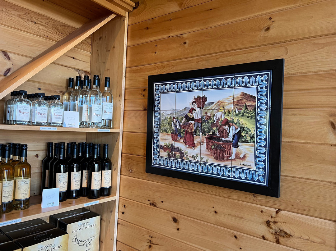 Matos Winery & Distillery-St. Catherines必去景点