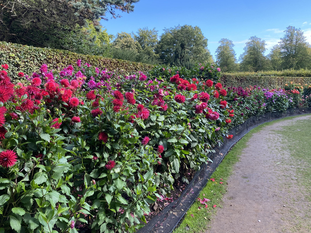 安格尔西修道院-Lode必去景点
