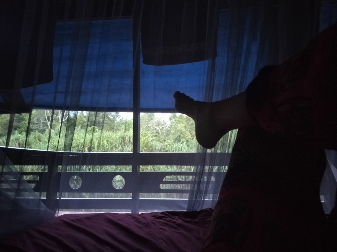 Guia En Borneo-Pangkalan Bun必去景点