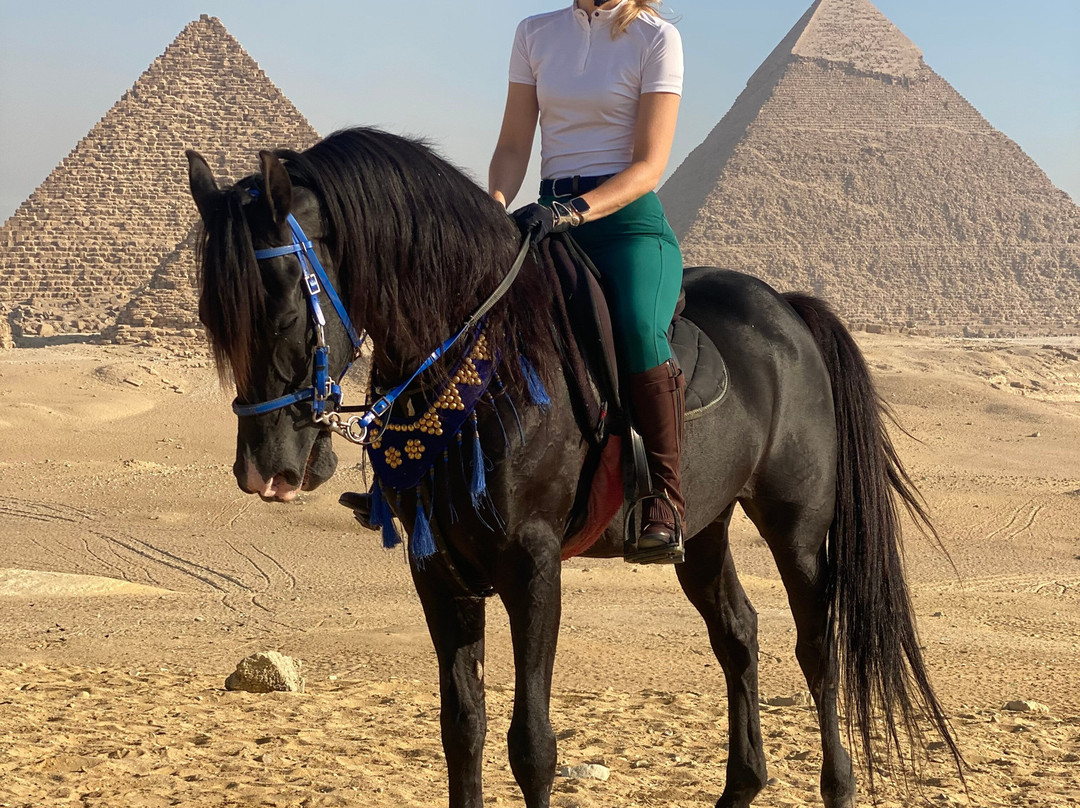 Desert Dreams-卢克索必去景点