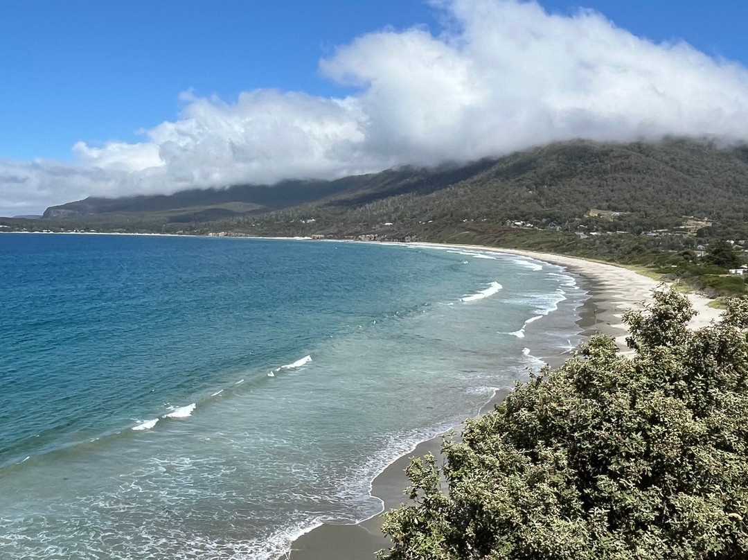 Tessellated Pavement-伊格尔霍克内克必去景点