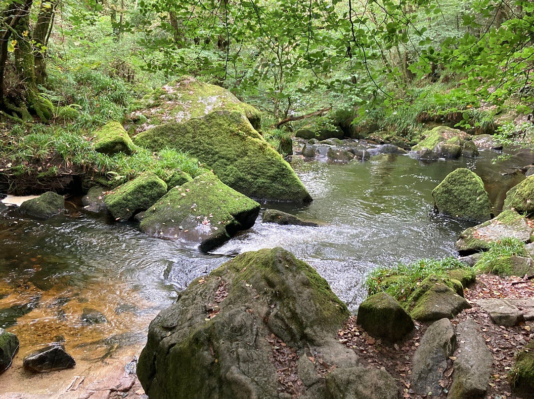Golitha Falls-利斯卡德必去景点