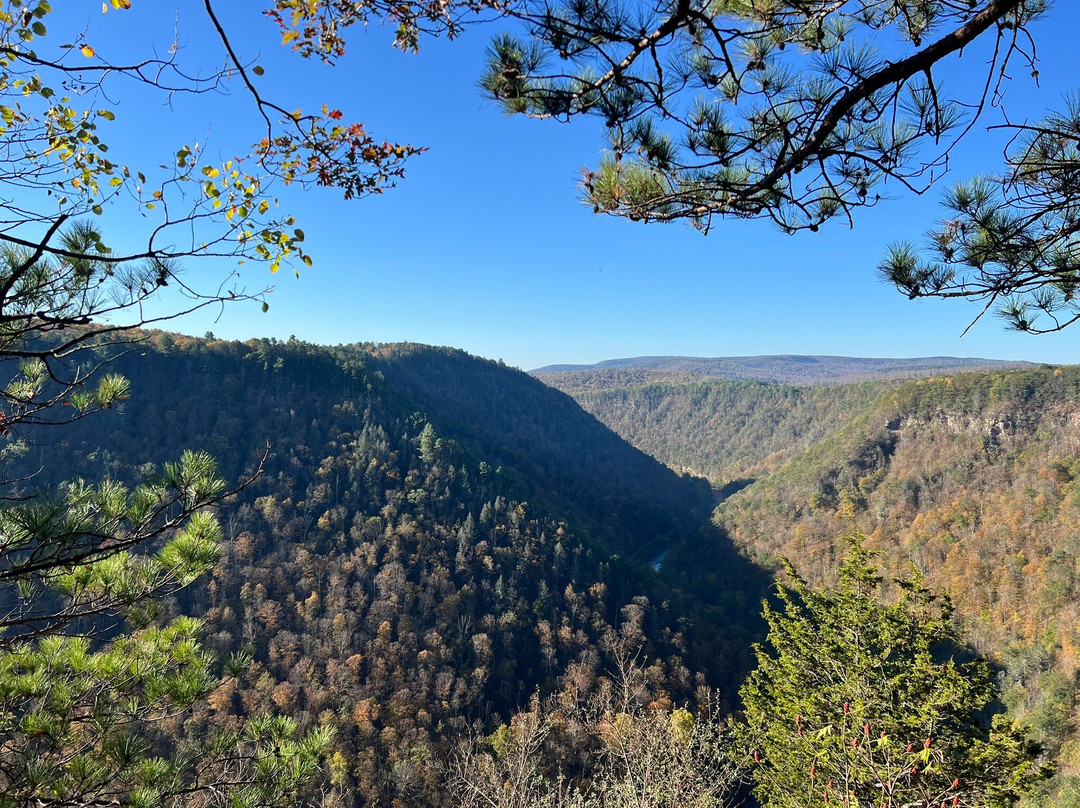 Colton Point State Park-Wellsboro必去景点