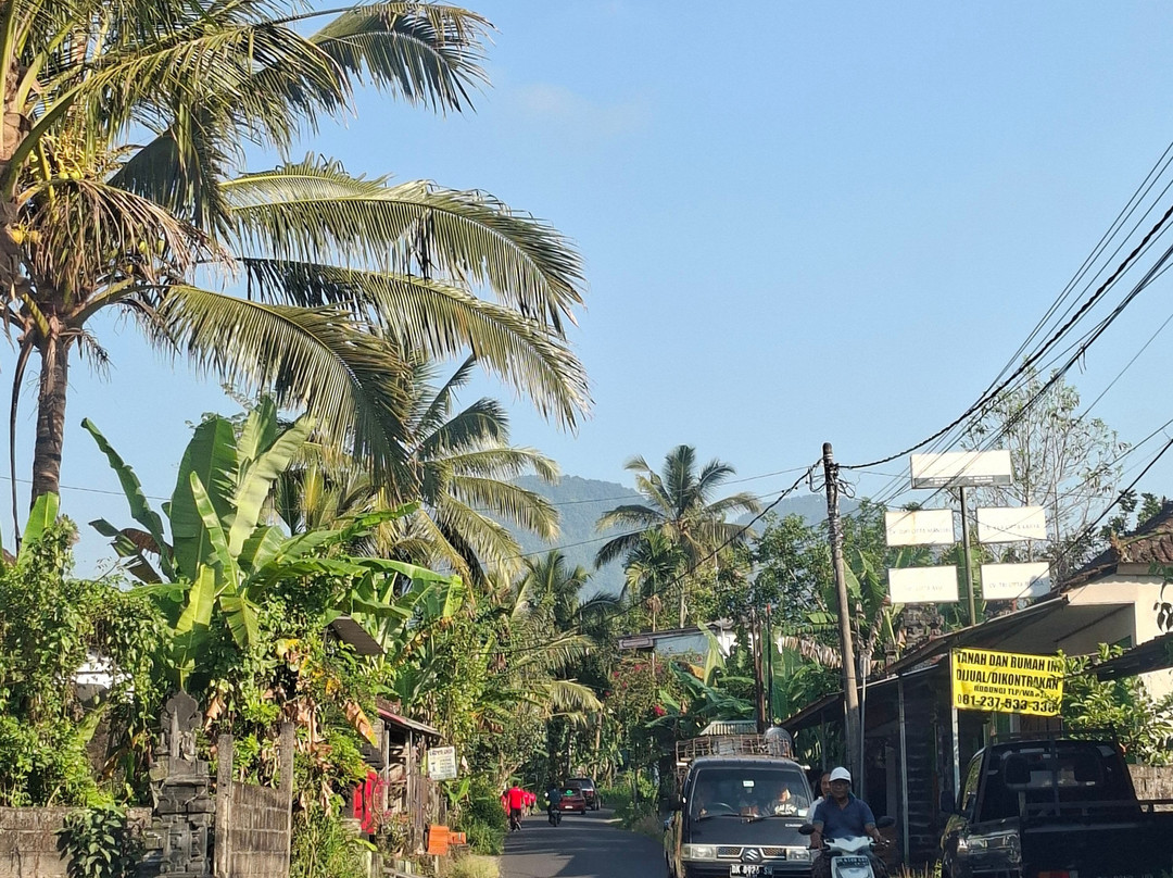 Jatiluwih Cycling & E-bike Tours With Bali By Pedals-达巴南必去景点