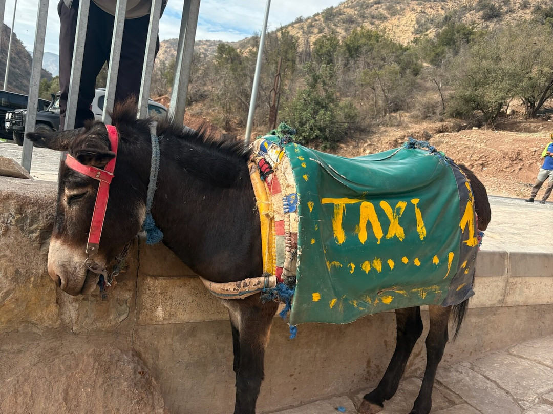 Fez City Tour-非斯必去景点
