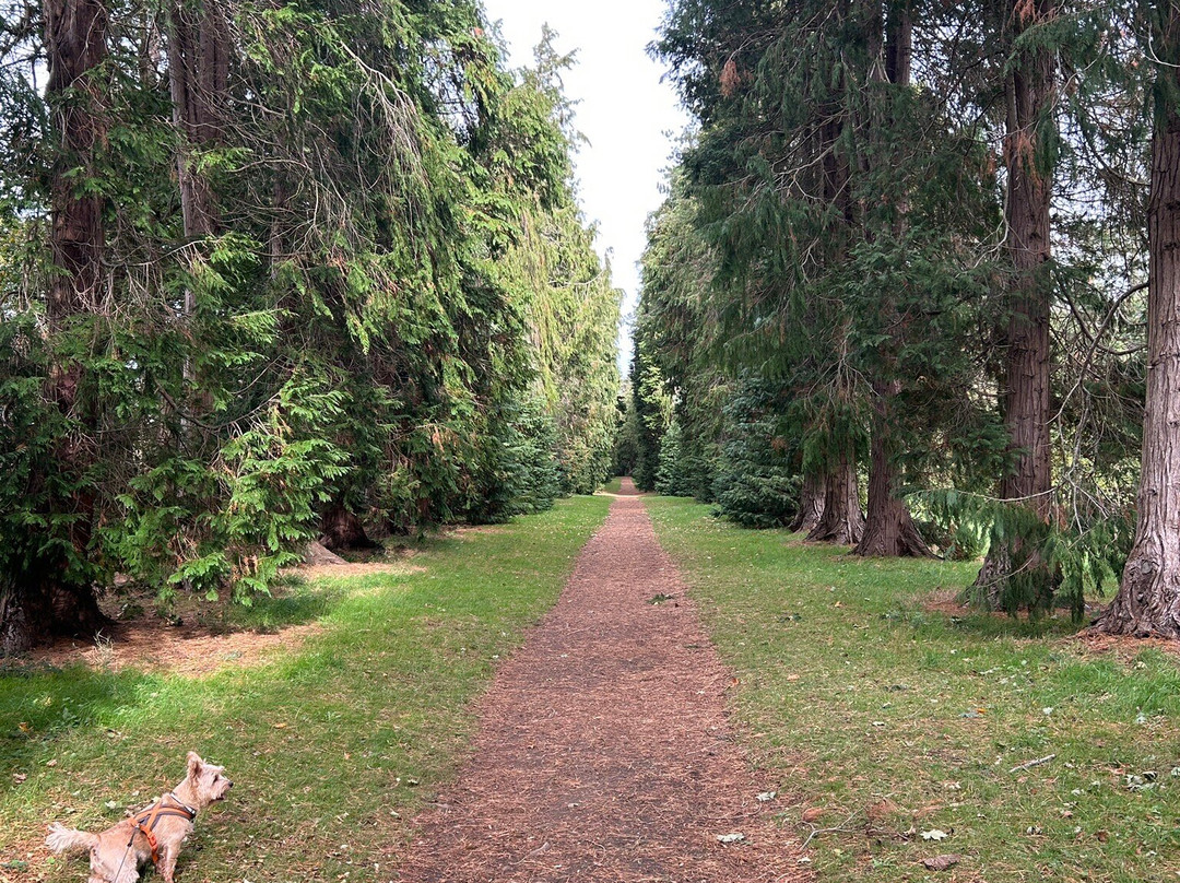 Thorp Perrow-Bedale必去景点