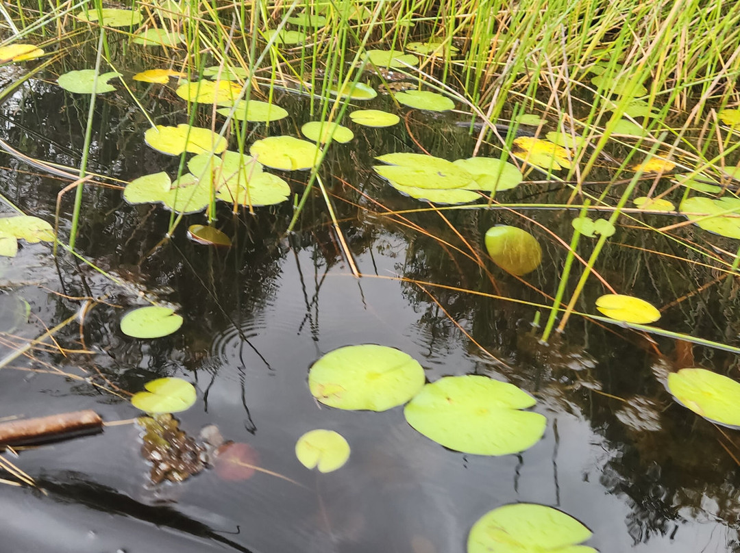 Fazenda Marimbus-迪亚曼蒂那国家公园必去景点