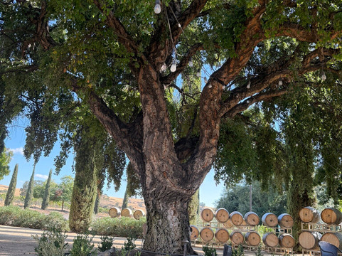 Dorval Estate Winery-Friant必去景点