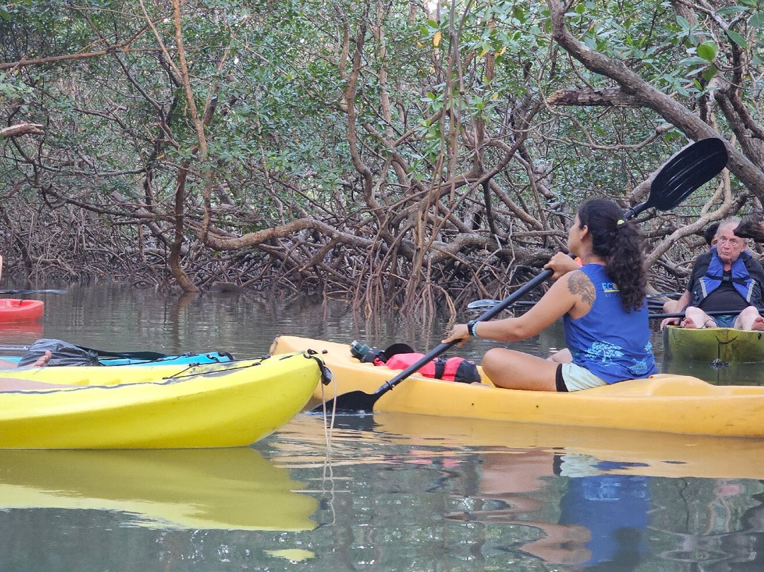 Ecomar Boipeba Ecoturismo Marinho-Ilha de Boipeba必去景点