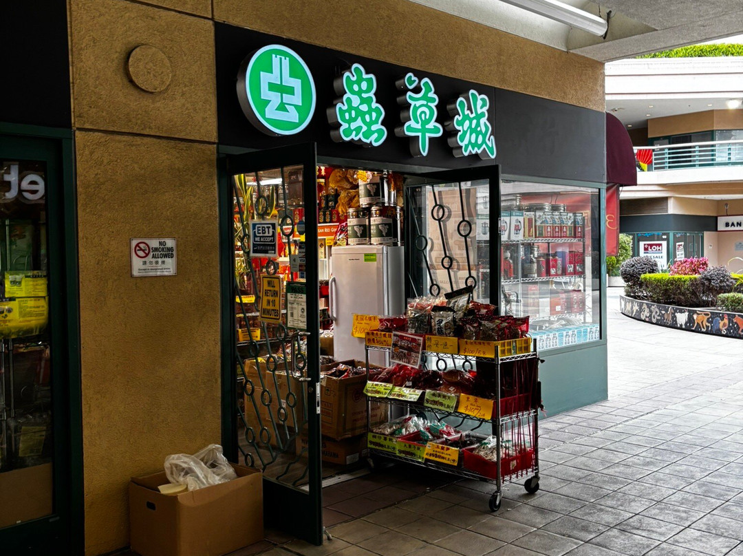 Chinatown-奥克兰必去景点