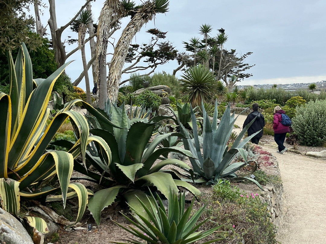 Jardin Georges Delaselle-Ile-de-Batz必去景点