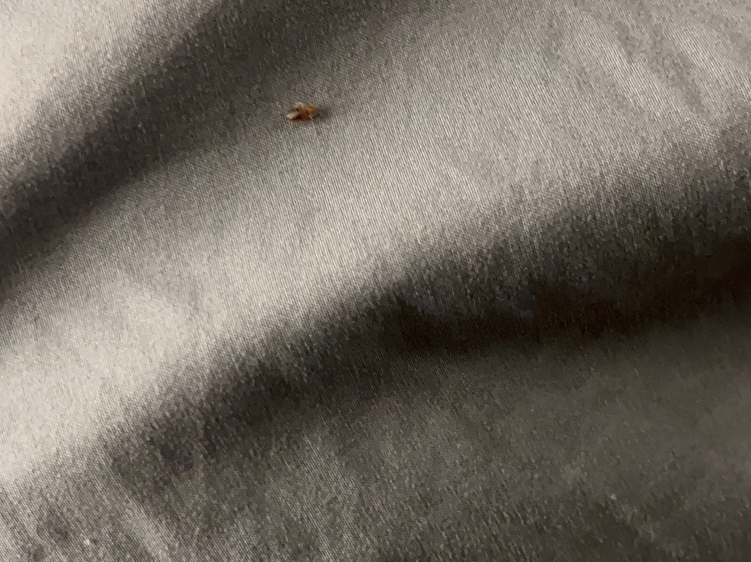 TownePlace Suites by Marriott Plant City主图