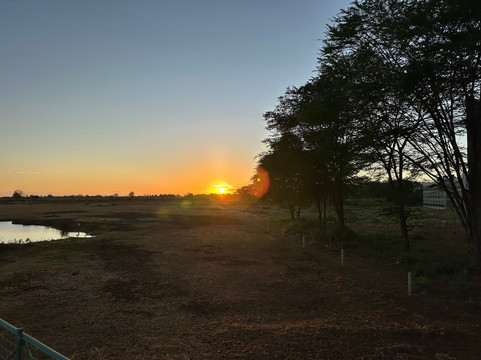 Bush Dwellers Kenya-迪亚尼必去景点