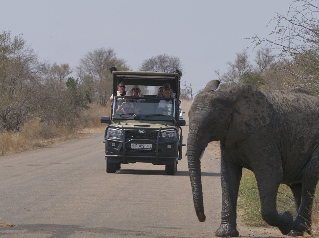 Wildpride Adventures