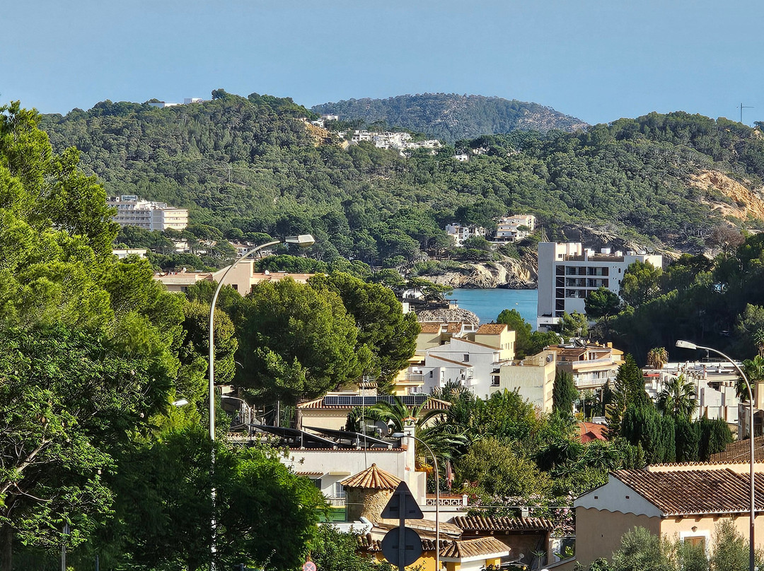 Hotel Bordoy Don Antonio主图