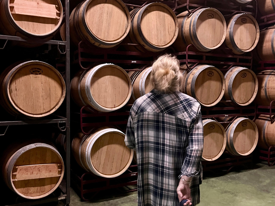 Bodegas Volver-Pinoso必去景点