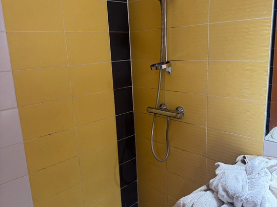 罂粟花酒店主图