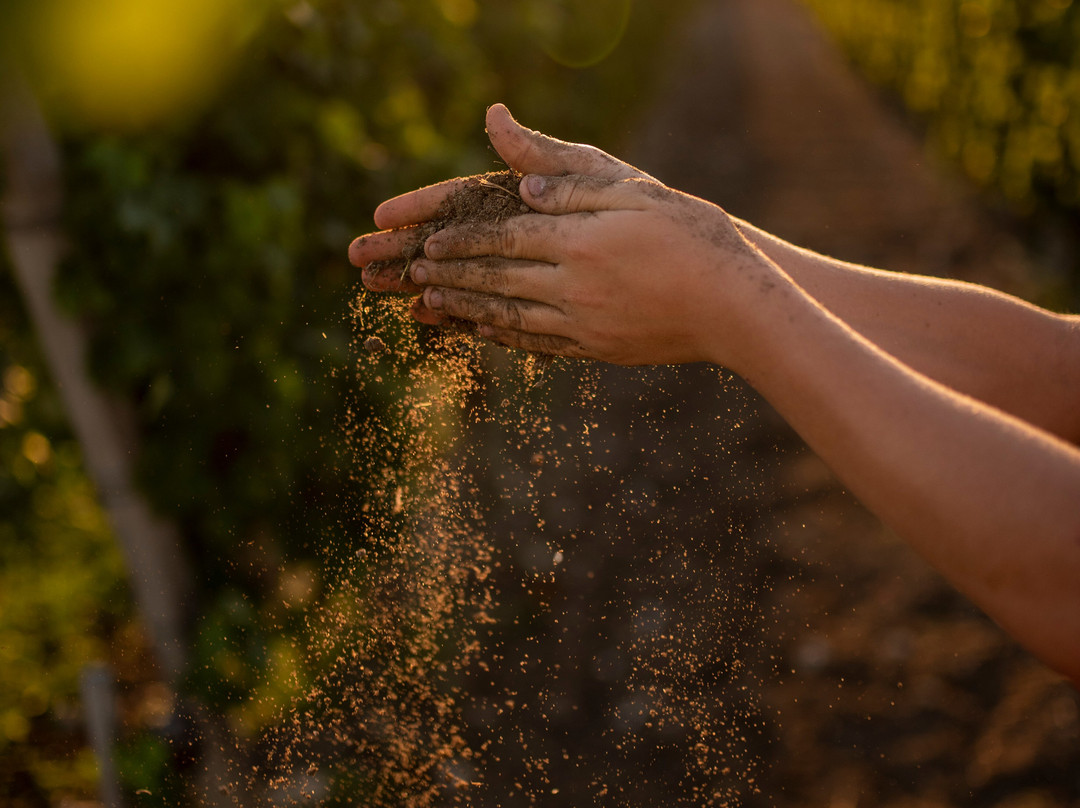 Chateau Haut-Bourcier-Saint-Androny必去景点