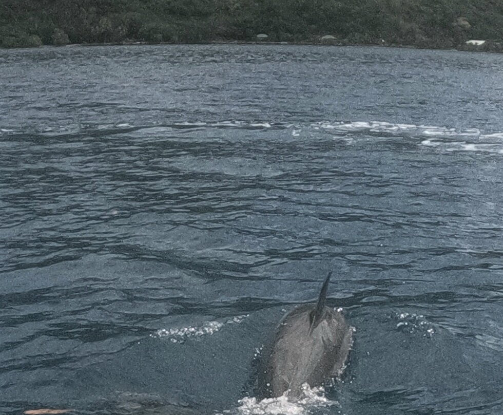 Moorea Watersport-Vaiare必去景点
