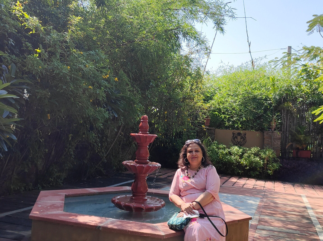 Little Affair Sariska主图