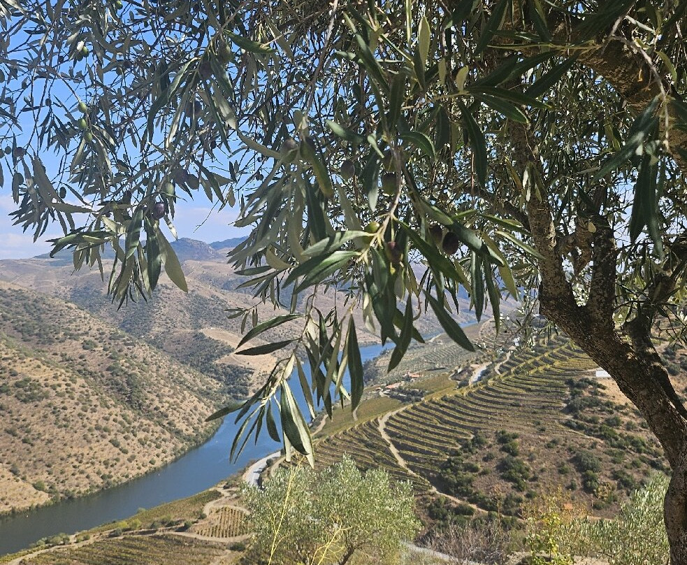 Quinta Do Fraguil - Douro Valley-Valenca Do Douro必去景点
