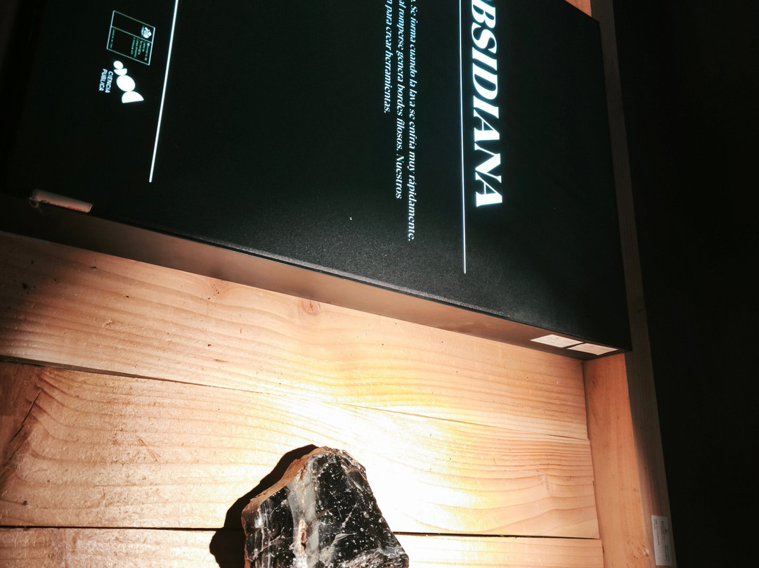 CIVUR 39°: Centro Interactivo Vulcanológico de La Araucanía-普孔必去景点