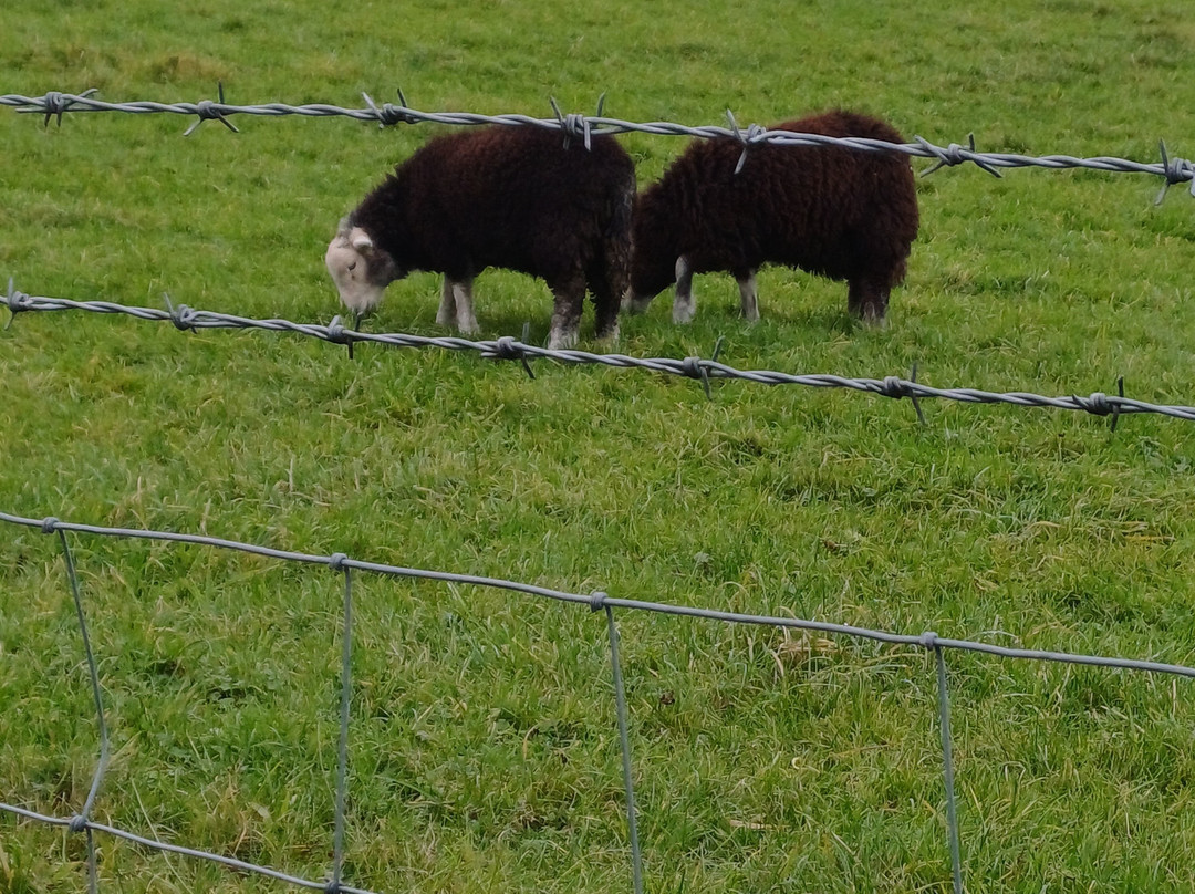 Meadowcroft Country Guest House主图