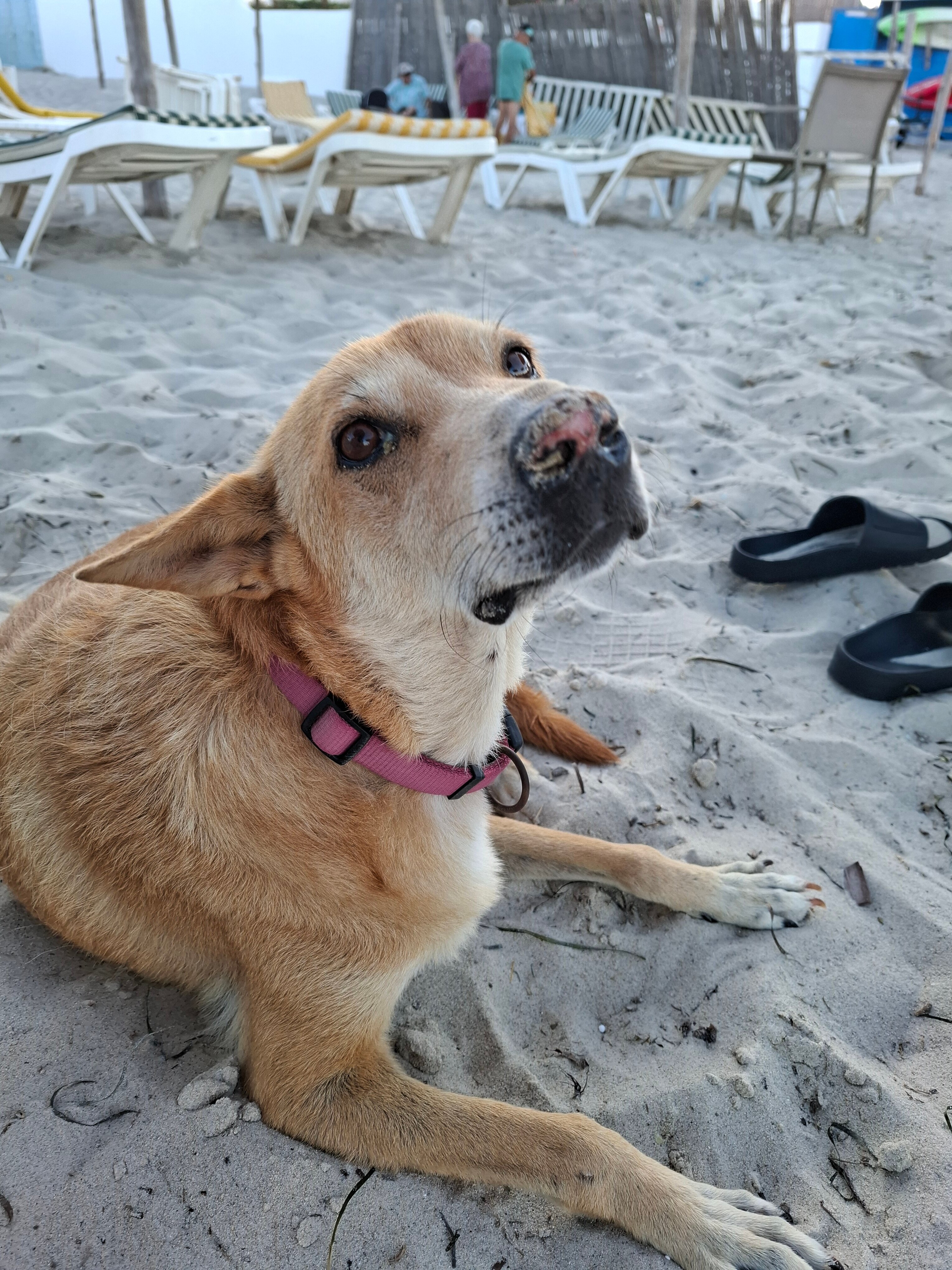 Djerba Holiday Beach-官方