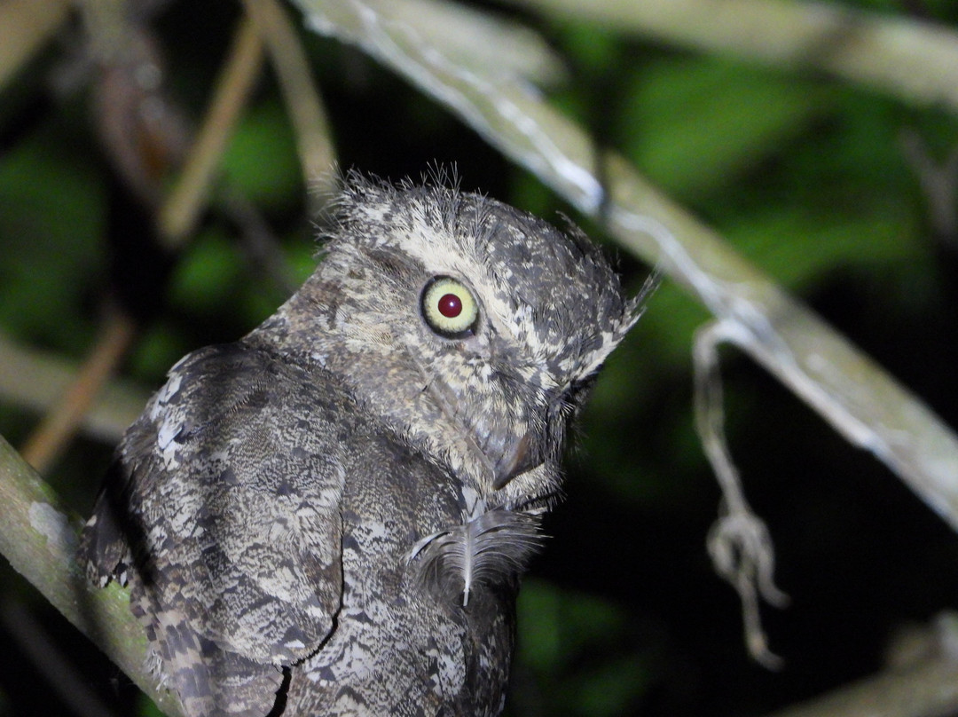 萨特沃大象生态酒店主图