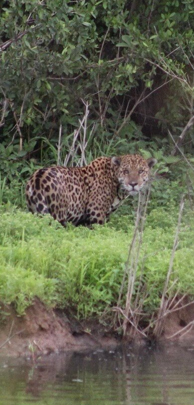 Nick's Adventures Bolivia-圣克鲁斯省必去景点