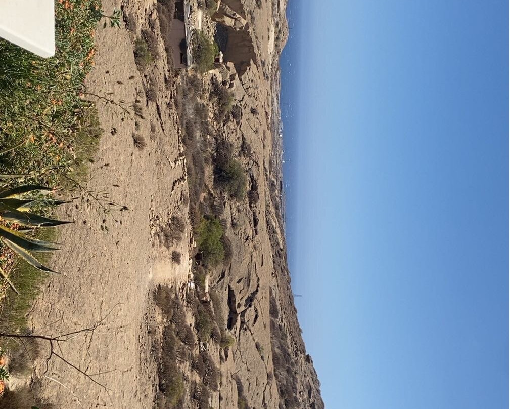 Tenerife Horse Rescue-圣克鲁斯-德特内里费必去景点