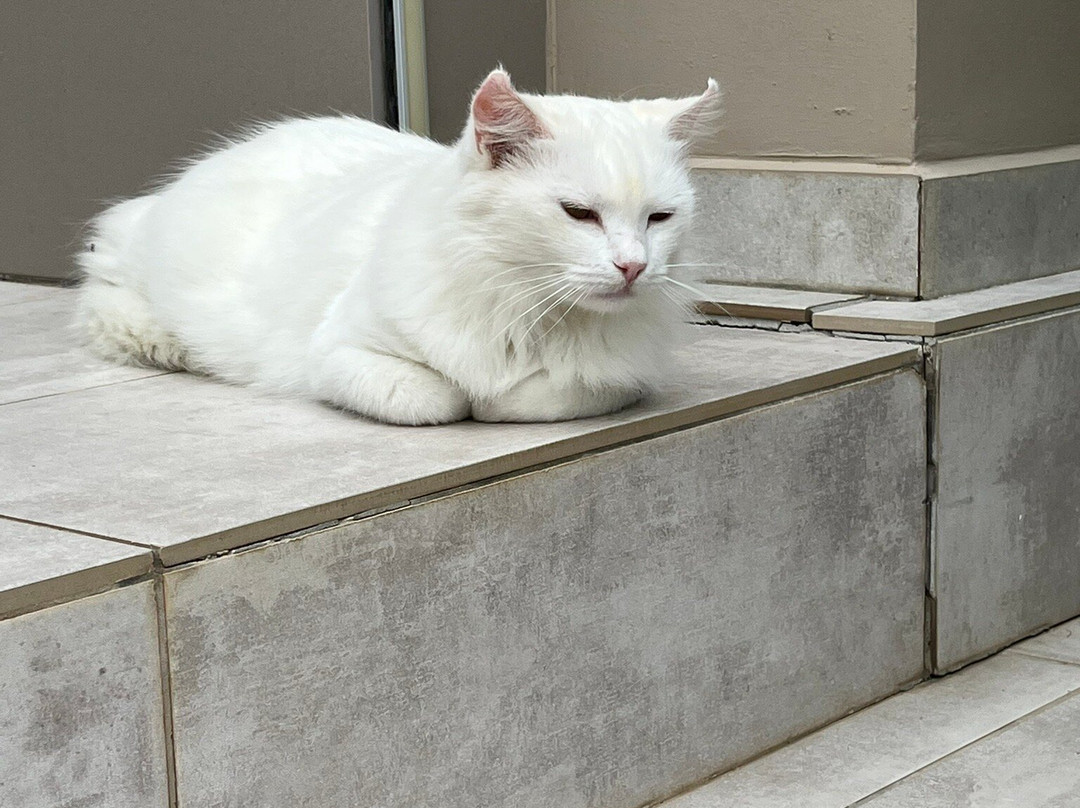 Alfa Apartments主图