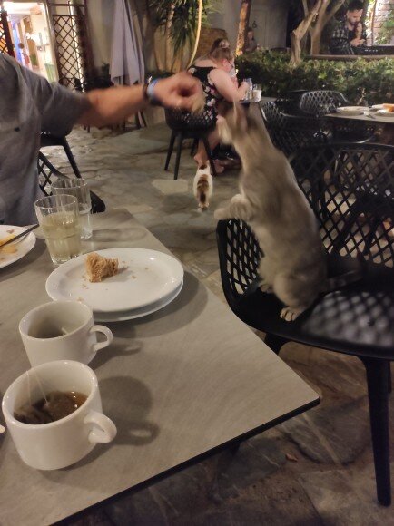 玛丽列纳酒店-官方