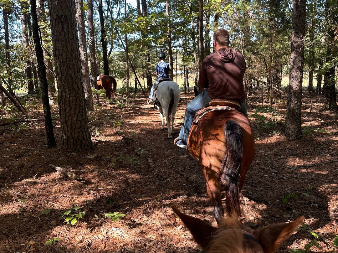Barnyard Friends Peting Zoo-Morrilton必去景点